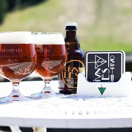 Отель Sachticka 3*